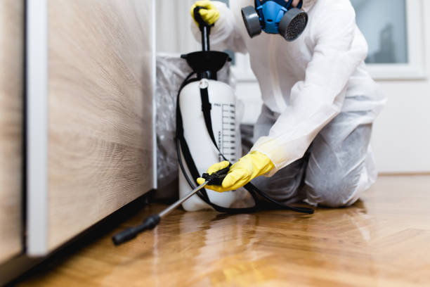 Best Affordable Pest Control Services  in Bluefield, VA