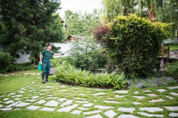 Best Residential Pest Control  in Bluefield, VA