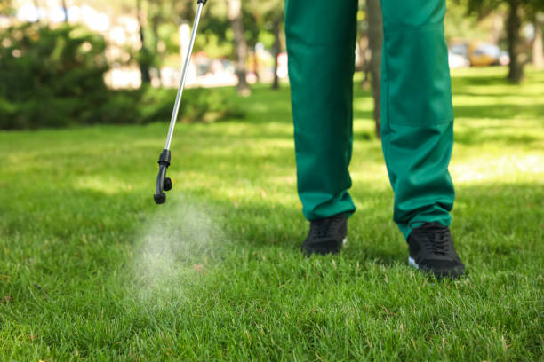 Best Affordable Pest Control Services  in Bluefield, VA