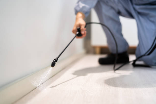 Pest Prevention Services in Bluefield, VA