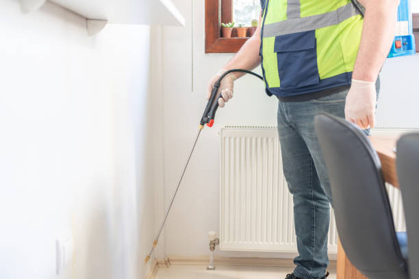Best Flea Control Services  in Bluefield, VA