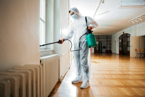 Reliable Bluefield, VA Pest Control Solutions